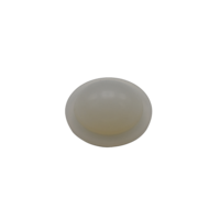 EQUINE ORBITAL IMPLANT STD