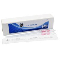 CAT CATHETER 1mm x 13cm with Stylet