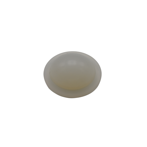 EQUINE ORBITAL IMPLANT STD